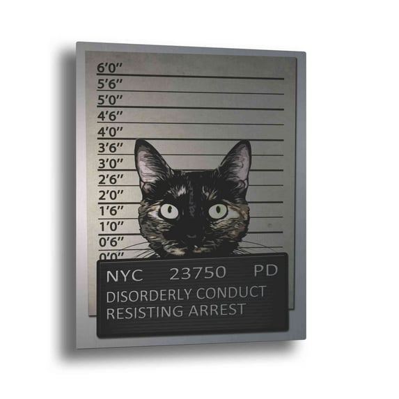 Epic Art "Kitty Mugshot" by Nicklas Gustafsson, on Brushed Aluminum 16"x24"