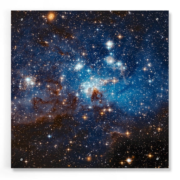 Epic Art 'LH 95 Star Cluster' Hubble Space Telescope Acrylic Glass Wall Art, 24"x24"