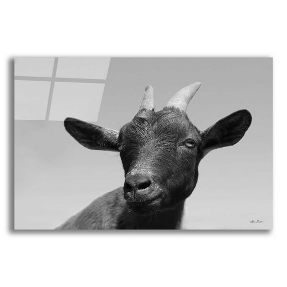Epic Art 'Lake Tobias Goat I' by Lori Deiter Acrylic Glass Wall Art, 16"x12"