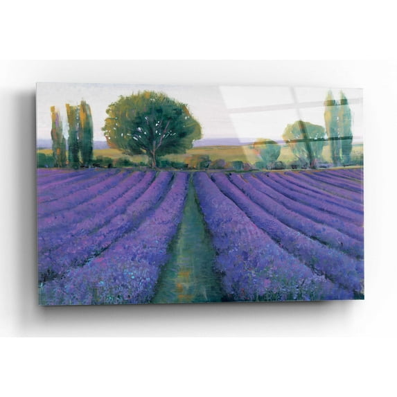 Epic Art 'Lavender Field II' by Tim O'Toole, Acrylic Glass Wall Art, 16"x12"