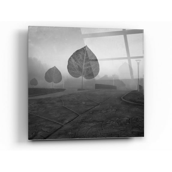 Epic Art 'Leave Alley' by Dariusz Klimczak, Acrylic Glass Wall Art, 24"x24"