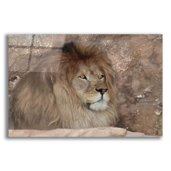 Epic Art 'Leo the Lion' by Lori Deiter Acrylic Glass Wall Art, 16"x12"