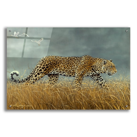 Epic Art 'Leopard 2' by Harro Maass, Acrylic Glass Wall Art, 36"x24"