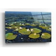 thumbnail image 1 of Epic Art 'Lily Pads II' by Tim O'Toole, Acrylic Glass Wall Art, 24"x16", 1 of 3