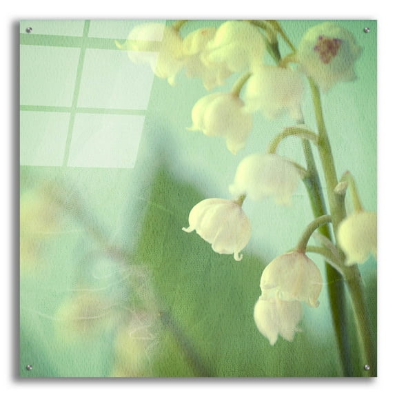 Epic Art ' Lily of the Valley' by Judy Stalus, Acrylic Glass Wall Art, 36"x36"