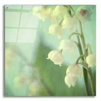 Epic Art ' Lily of the Valley' by Judy Stalus, Acrylic Glass Wall Art, 36"x36"