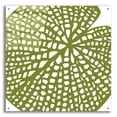 thumbnail image 1 of Epic Art ' Lilypad' by Trish Sierer, Acrylic Glass Wall Art, 36"x36", 1 of 8