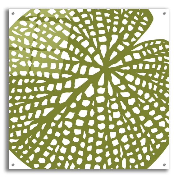 Epic Art ' Lilypad' by Trish Sierer, Acrylic Glass Wall Art, 36"x36"