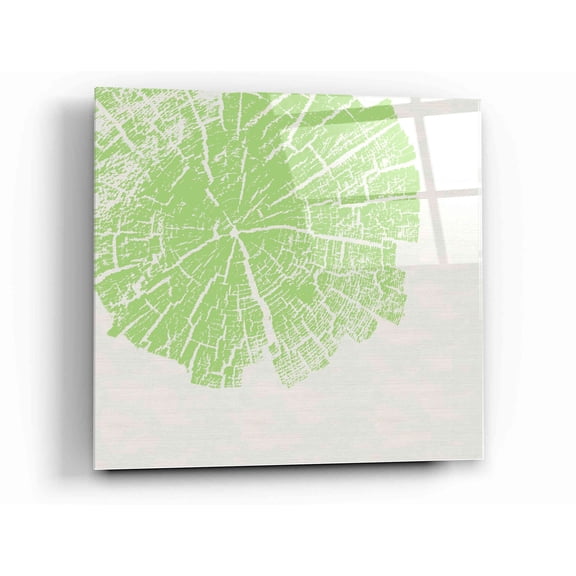 Epic Art 'Lime Slice' by Linda Woods, Acrylic Glass Wall Art, 12"x12"