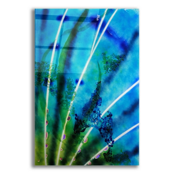 Epic Art 'Lion Fish Fin' by Rita Shimelfarb, Acrylic Glass Wall Art, 12"x16"