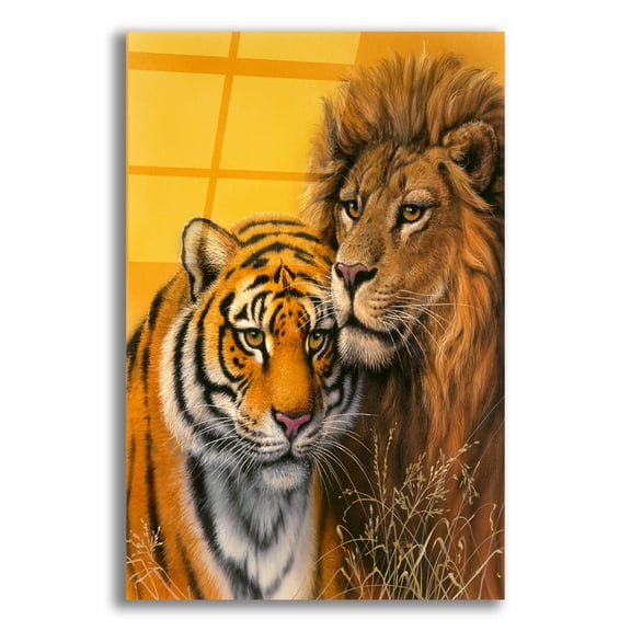 Epic Art 'Lion & Tiger' by Harro Maass, Acrylic Glass Wall Art, 12"x16"