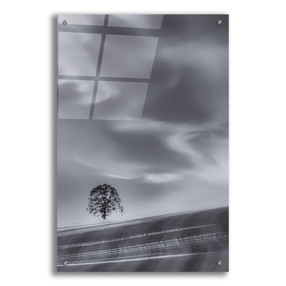 Epic Art 'Lone Tree On A Hillside' by Don Schwartz, Acrylic Glass Wall Art, 24"x36"