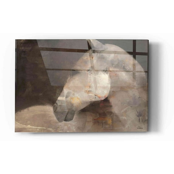 Epic Art 'Looking Back' by Albena Hristova, Acrylic Glass Wall Art, 12"x16"