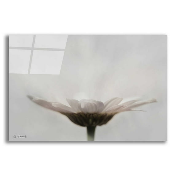 Epic Art 'Love Story' by Lori Deiter Acrylic Glass Wall Art, 24"x16"