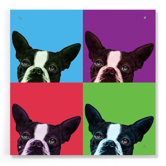 Epic Art 'Loyalty Pop' by Jon Bertelli, Acrylic Glass Wall Art, 24"x24"