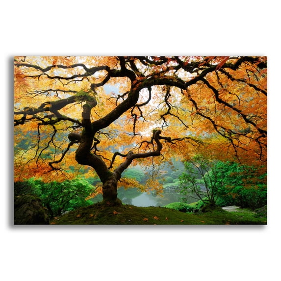 Epic Art 'Magical Autumn,' Acrylic Glass Wall Art, 24"x16"