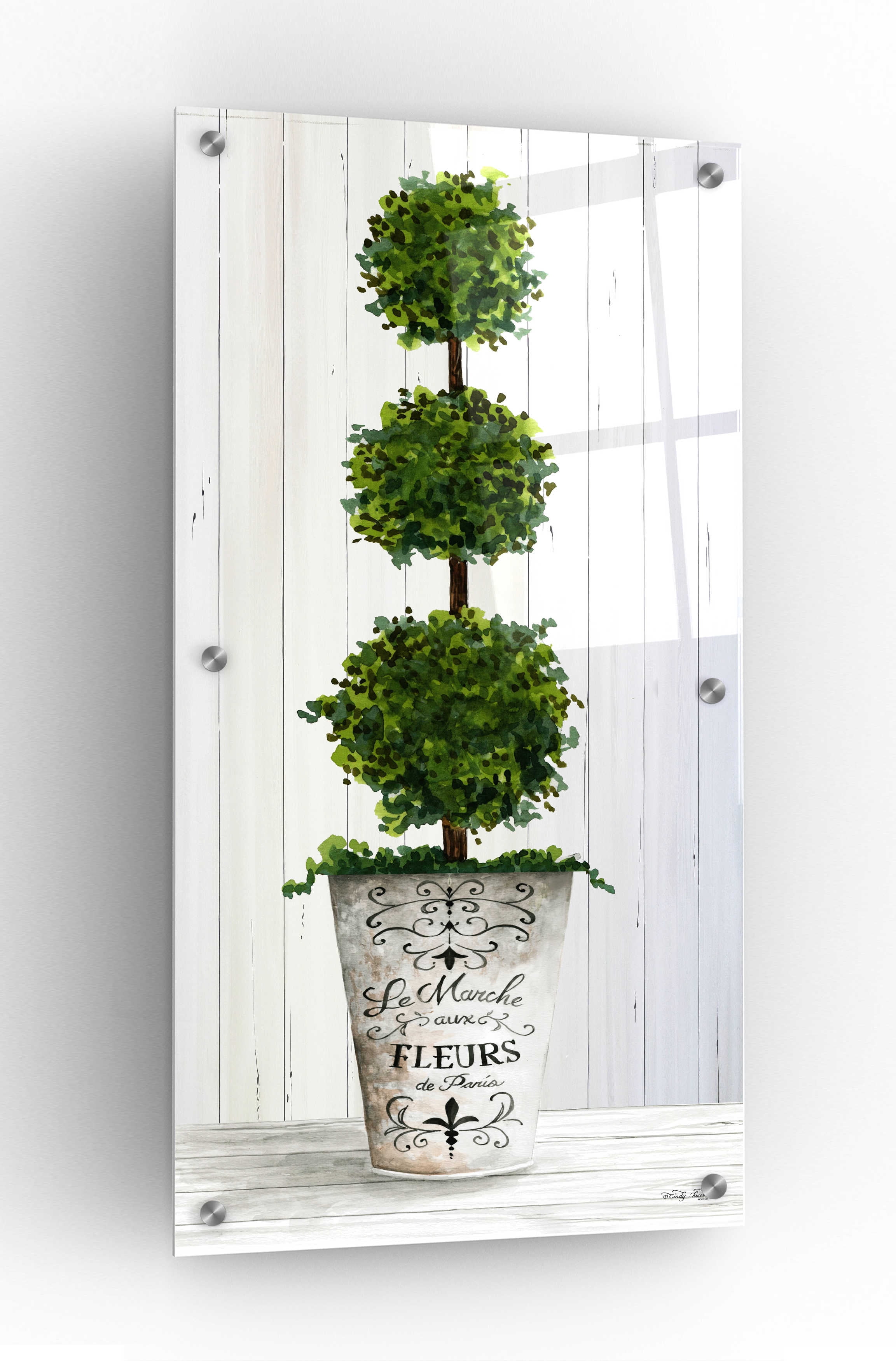 Epic Art 'Magnificent Topiary I' by Cindy Jacobs, Acrylic Glass Wall ...