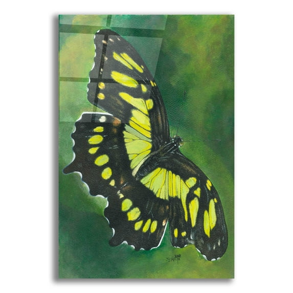 Epic Art 'Malachite Butterfly' by Barbara Keith, Acrylic Glass Wall Art, 12"x16"