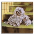 thumbnail image 1 of Epic Art 'Maltese' by Barbara Keith, Acrylic Glass Wall Art, 12"x12", 1 of 8