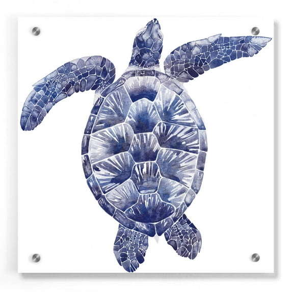 Epic Art 'Marine Turtle II' by Grace Popp, Acrylic Glass Wall Art, 36"x36"