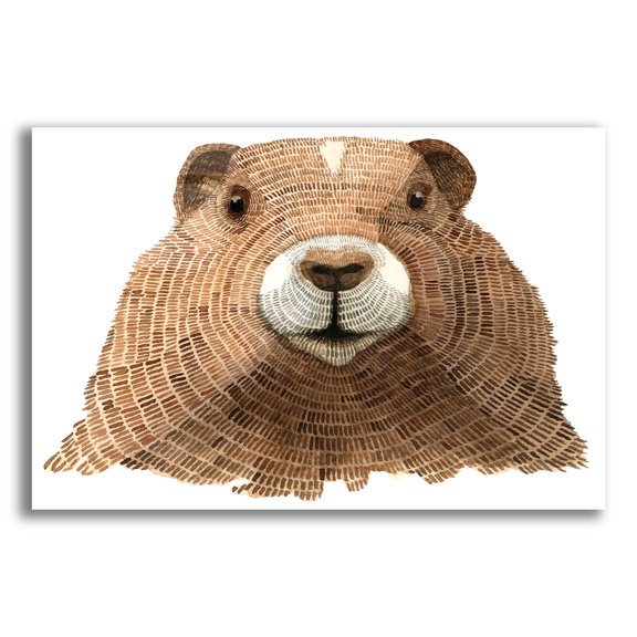 Epic Art ' Marmot' by Jeannine Saylor, Acrylic Glass Wall Art, 24"x16"