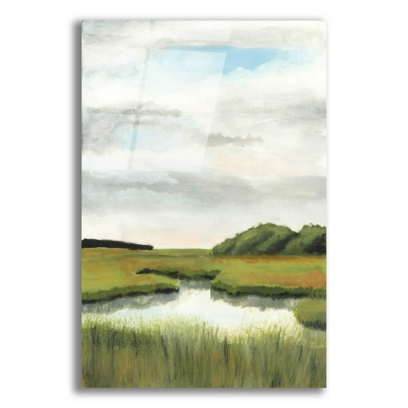 Epic Art 'Marsh Landscapes II' by Naomi McCavitt, Acrylic Glass Wall Art, 16"x24"