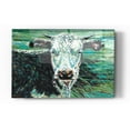 thumbnail image 1 of Epic Art 'Marshland Cow I' by Carolee Vitaletti Acrylic Glass Wall Art, 24"x36", 1 of 3
