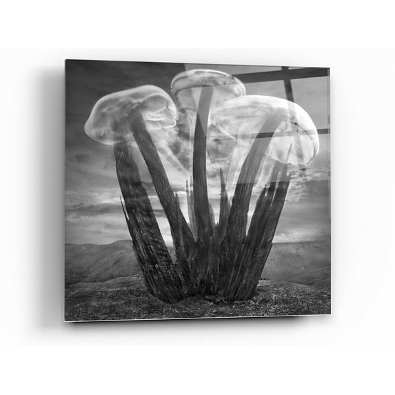 Epic Art 'Meduzalem' by Dariusz Klimczak, Acrylic Glass Wall Art, 24"x24"