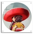thumbnail image 1 of Epic Art 'Mi Taco Mi Amigo' by Lucia Heffernan, 24"x24", 1 of 8