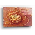 thumbnail image 1 of Epic Art 'Micro Floral II' by Tim O'Toole, Acrylic Glass Wall Art, 16"x12", 1 of 3