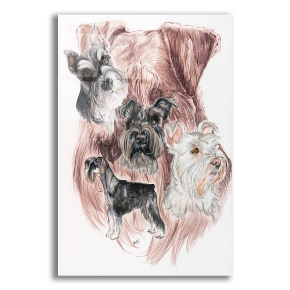 Epic Art 'Miniature Schnauzer' by Barbara Keith, Acrylic Glass Wall Art, 12"x16"