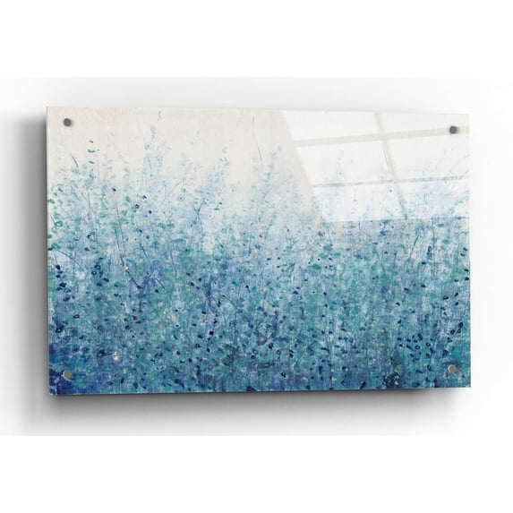 Epic Art 'Misty Blues II' by Tim O'Toole, Acrylic Glass Wall Art, 36"x24"