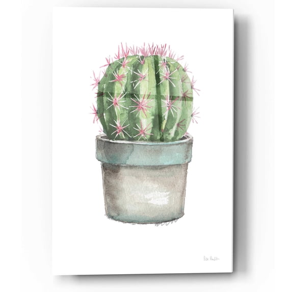 Epic Art 'Mixed Greens Succulent II' by Lisa Audit, Acrylic Glass Wall Art, 12"x16"