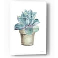 thumbnail image 1 of Epic Art 'Mixed Greens Succulent IV' by Lisa Audit, Acrylic Glass Wall Art, 12"x16", 1 of 2