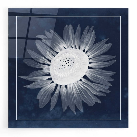 Epic Art 'Moon Flower II' by Grace Popp, Acrylic Wall Glass, 12"x12"