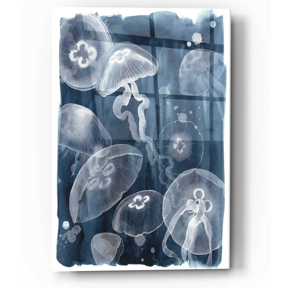 Epic Art 'Moon Jellies I' by Grace Popp, Acrylic Wall Glass, 12"x16"