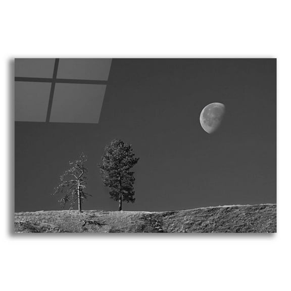 Epic Art 'Moon Trees Hill' by Thomas Haney, Acrylic Glass Wall Art, 24"x16"
