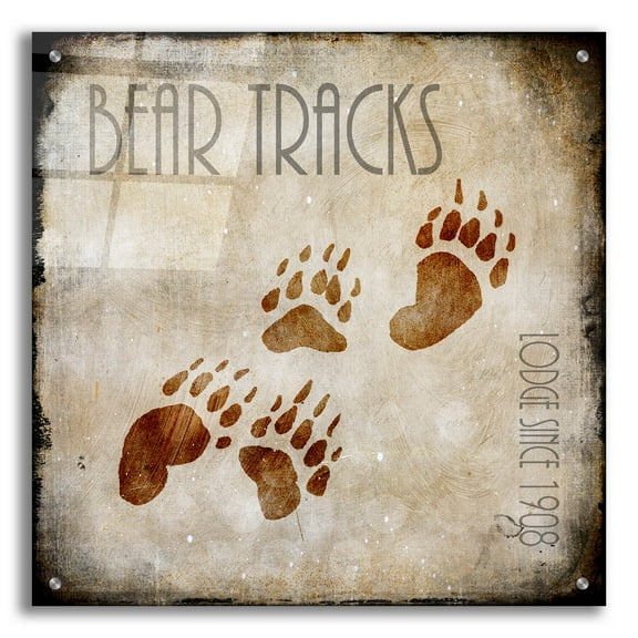 Epic Art 'Moose Lodge 2 - Bear Tracks' by Lightbox Journal, Acrylic Glass Wall Art, 24"x24"