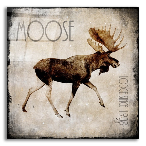 Epic Art 'Moose Lodge 2' by Lightbox Journal, Acrylic Glass Wall Art, 12"x12"