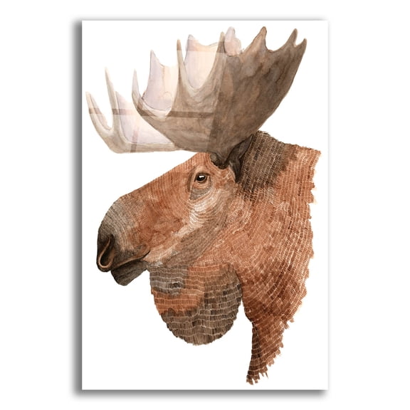 Epic Art ' Moose' by Jeannine Saylor, Acrylic Glass Wall Art, 12"x16"