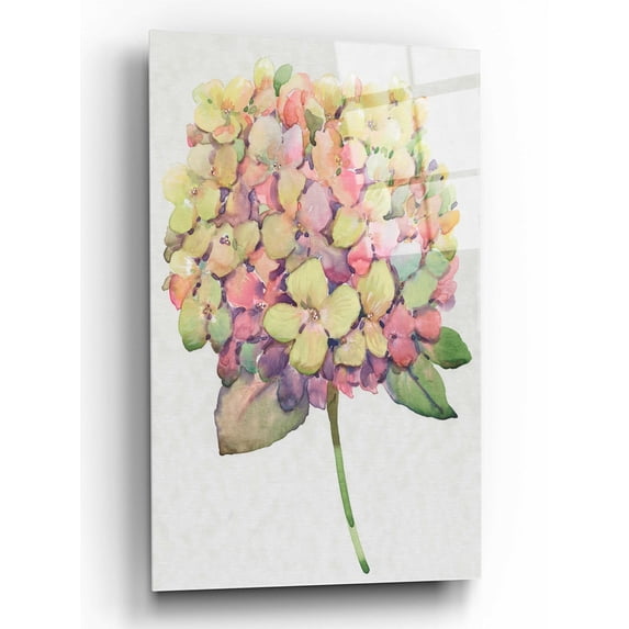 Epic Art 'Multicolor Floral II' by Tim O'Toole, Acrylic Glass Wall Art, 12"x16"