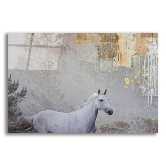 Epic Art 'Music runs' by Susan Friedman, Acrylic Glass Wall Art, 16"x12"