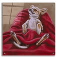 thumbnail image 1 of Epic Art 'Nap Hard' by Barbara Keith, Acrylic Glass Wall Art, 24"x24", 1 of 8