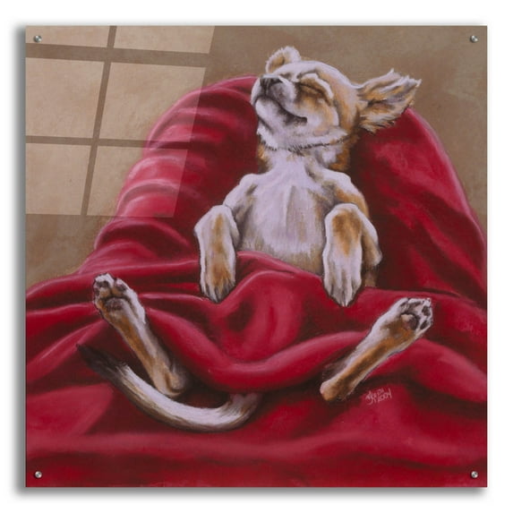 Epic Art 'Nap Hard' by Barbara Keith, Acrylic Glass Wall Art, 36"x36"