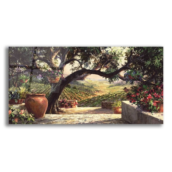 Epic Art 'Napa Patio' by Art Fronckowiak, Acrylic Glass Wall Art, 48"x24"