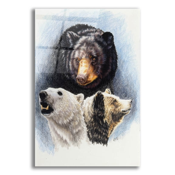 Epic Art 'Natures Image' by Barbara Keith, Acrylic Glass Wall Art, 12"x16"