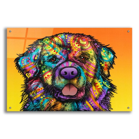 Epic Art 'Newfie' by Dean Russo, Acrylic Glass Wall Art, 36"x24"