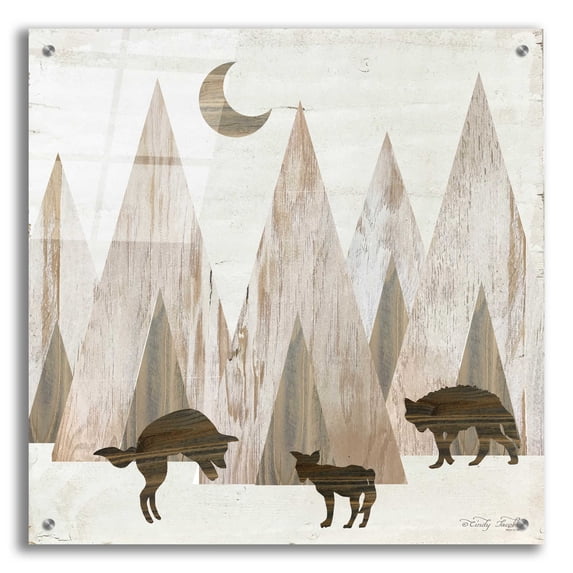 Epic Art 'Night Play' by Cindy Jacobs, Acrylic Glass Wall Art, 24"x24"