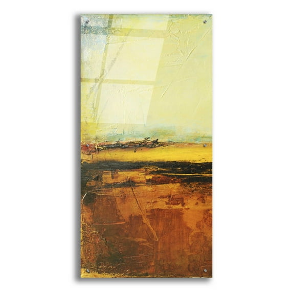Epic Art 'Noon I' by Erin Ashley, Acrylic Glass Wall Art, 24"x48"