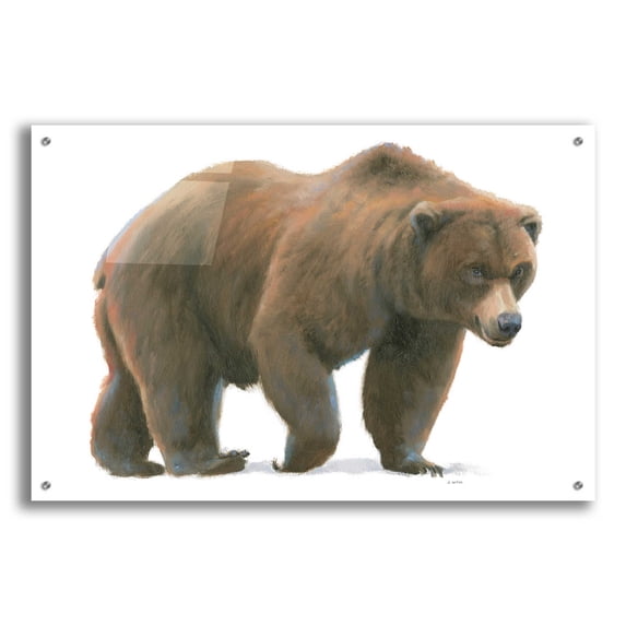 Epic Art 'Northern Wild I' by James Wiens, Acrylic Glass Wall Art, 36"x24"